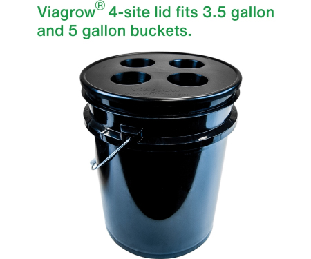 G125 V4MLCS